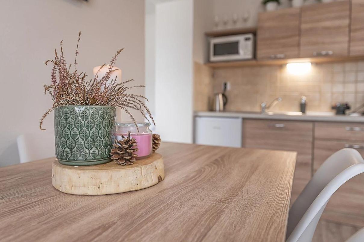 Apartmany Minata Liptovsky Mikulas Luaran gambar