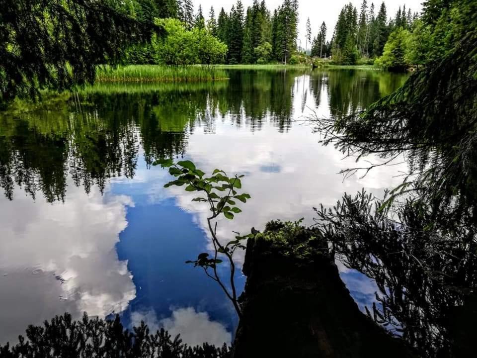 Apartmany Minata Liptovsky Mikulas Luaran gambar
